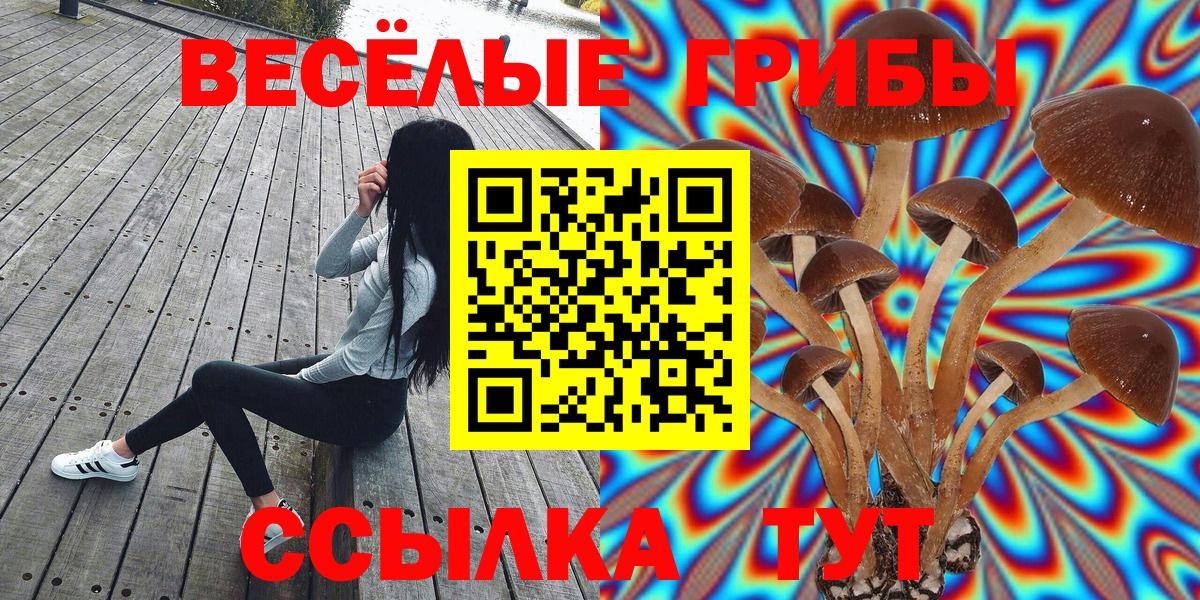 Псилоцибиновые грибы мицелий Богородицк