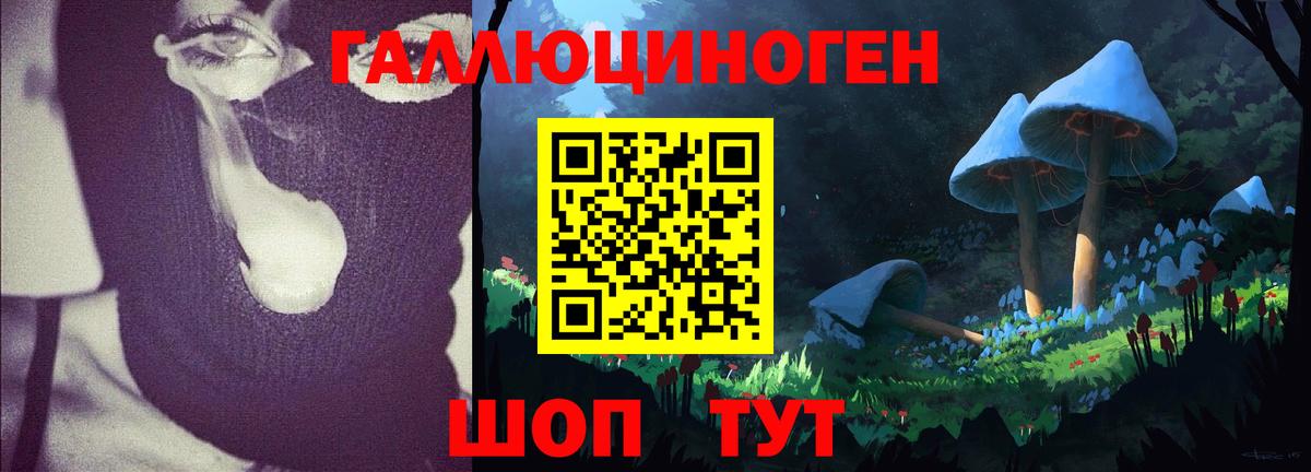 Псилоцибиновые грибы прущие грибы  Вход с VPN  Богородицк  Псилоцибиновые грибы MAGIC MUSHROOMS 